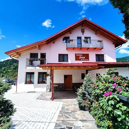 Pensiunea Anca Statjunea Borsa Exterior photo